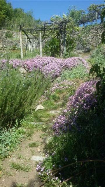 Bed & Breakfast Varionda Chiaverano Εξωτερικό φωτογραφία