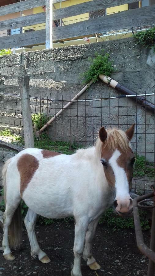 Bed & Breakfast Varionda Chiaverano Εξωτερικό φωτογραφία
